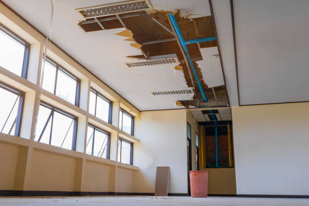 Best Basement water damage restoration  in Lake Heritage, PA