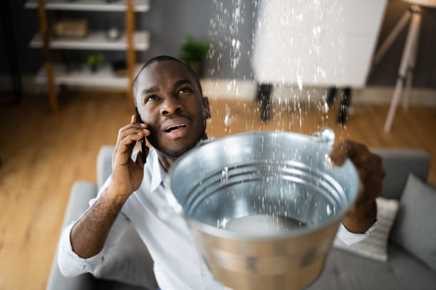 Best Water damage restoration near me  in Lake Heritage, PA