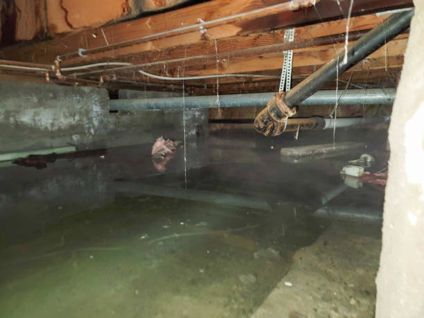 Best Fire Damage Restoration  in Lake Heritage, PA