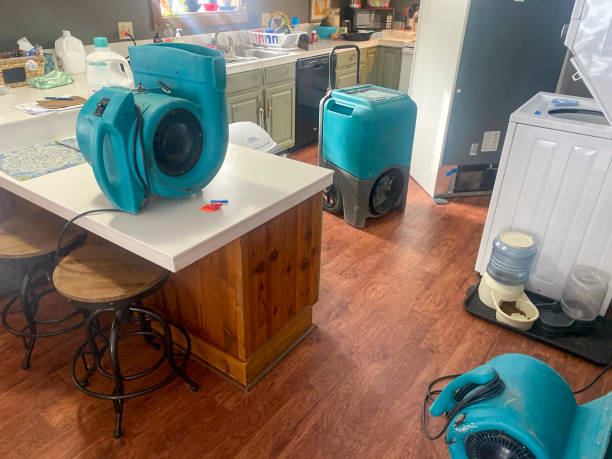 Best Sewage cleanup and water damage restoration  in Lake Heritage, PA