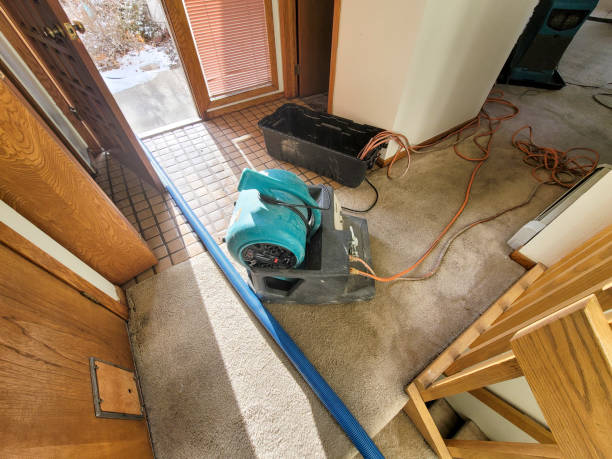 Best Professional water damage repair  in Lake Heritage, PA