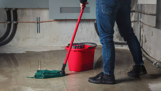 Best Water damage cleanup near me  in Lake Heritage, PA