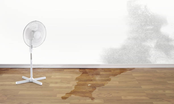 Best Ceiling water damage repair  in Lake Heritage, PA