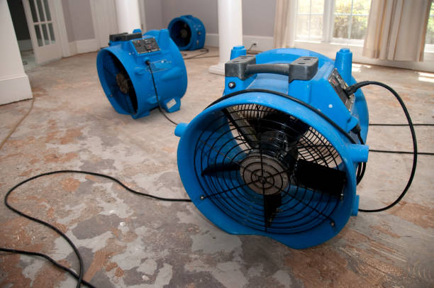 Best Water damage restoration mold remediation  in Lake Heritage, PA