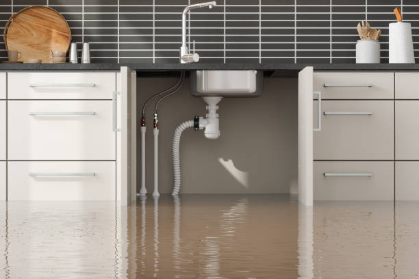 Best Commercial water damage restoration  in Lake Heritage, PA