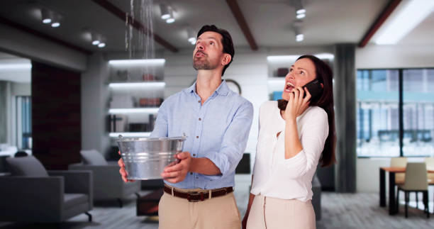 Best Flood damage cleanup  in Lake Heritage, PA