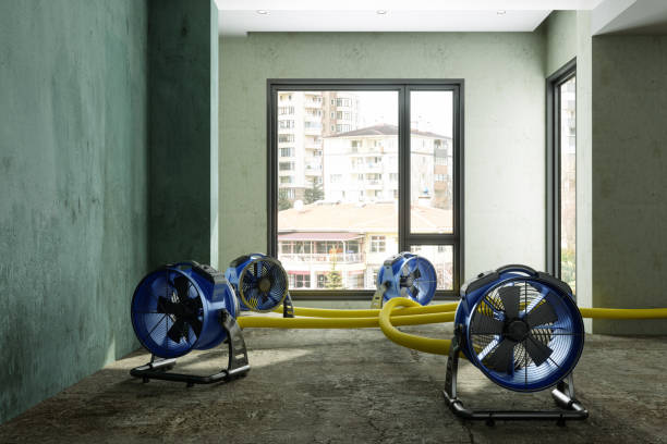Best Water damage restoration experts  in Lake Heritage, PA