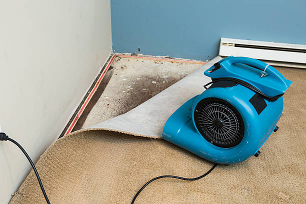 Water damage restoration insurance claims in Lake Heritage, PA